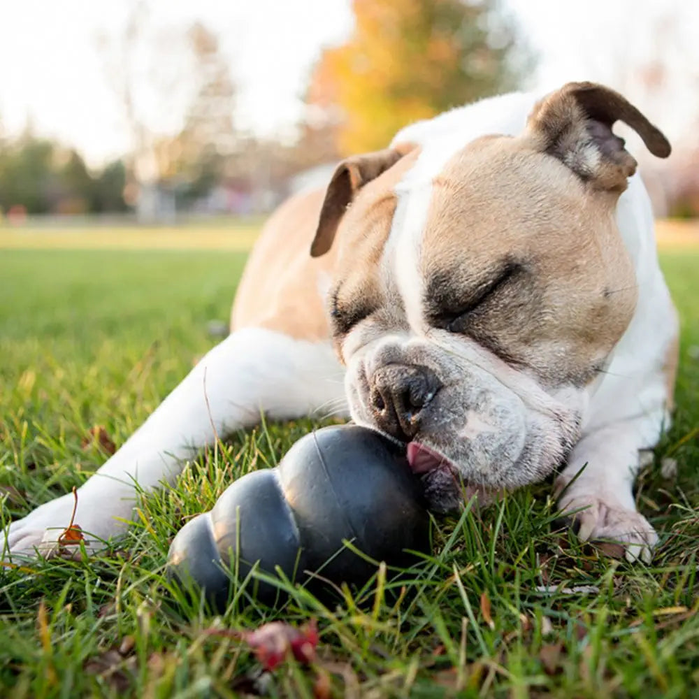 KONG Extreme Dog Chew Toy