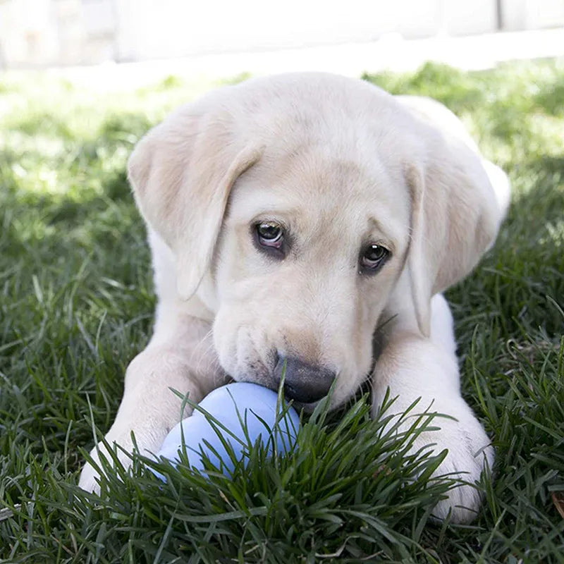 KONG Natural Teething Rubber Chew Toy