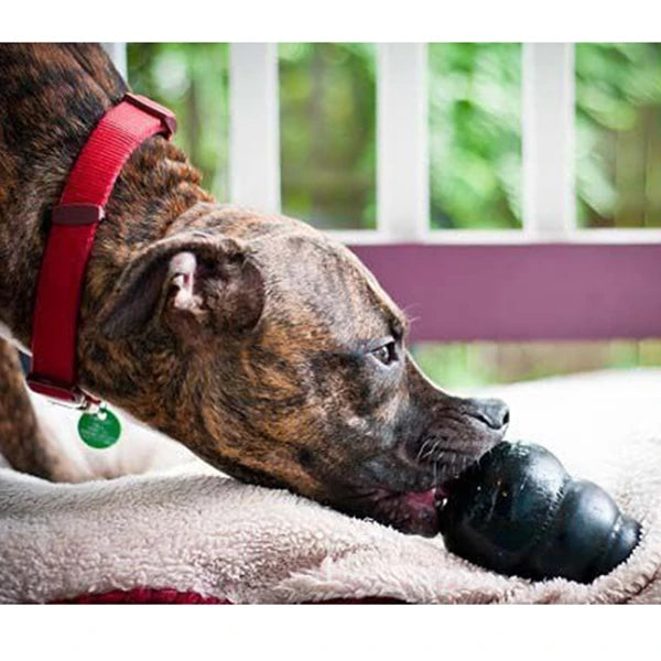 KONG Extreme Dog Chew Toy
