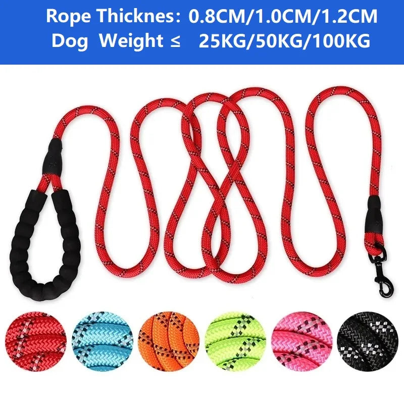 Strong Leash with Soft Handle: Reinforced for Dogs of All Sizes
