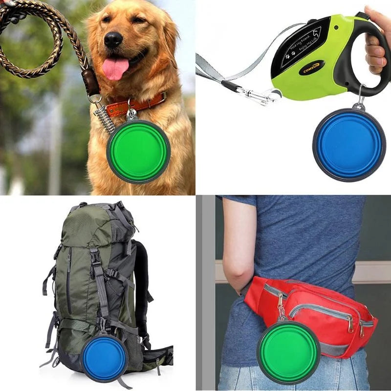 Folding Portable Silicone Dog Bowl With Carabiner.