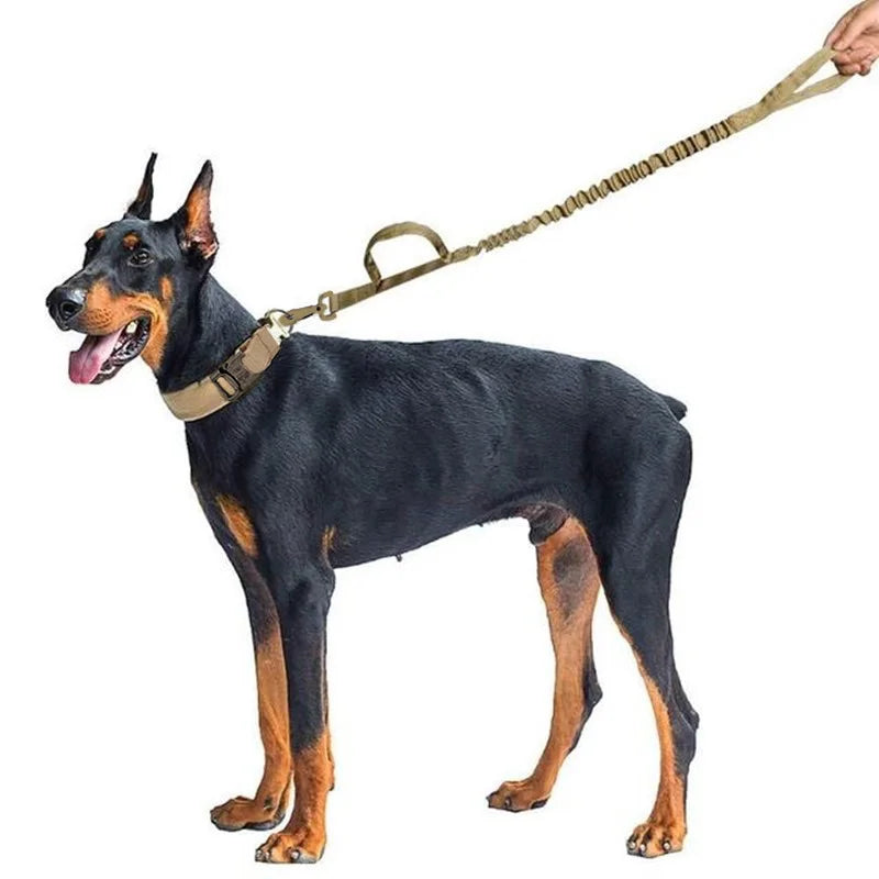 Military Tactical Dog Collar and Leash