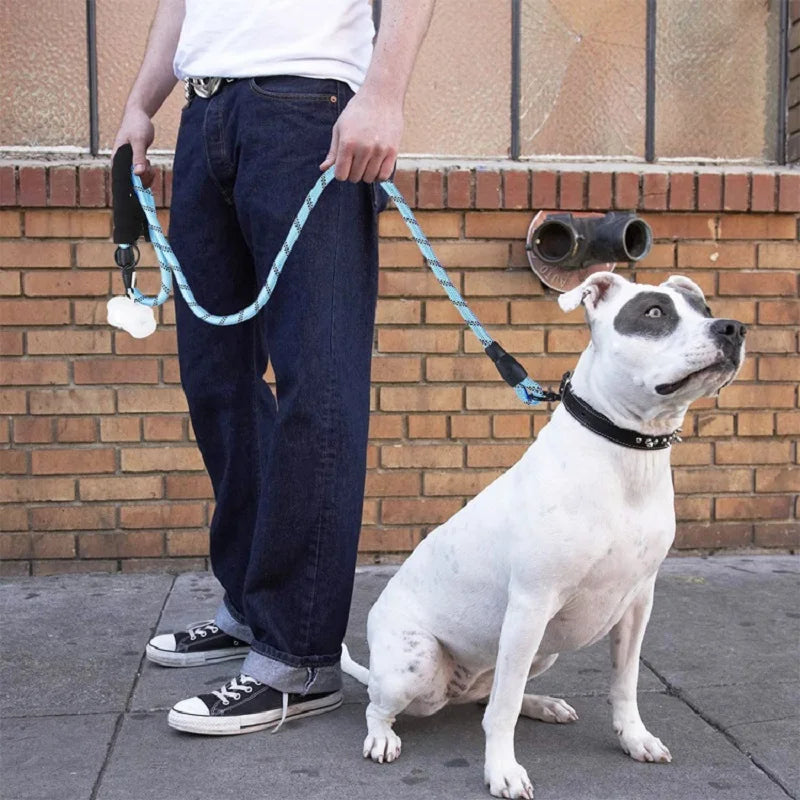 Strong Leash with Soft Handle: Reinforced for Dogs of All Sizes