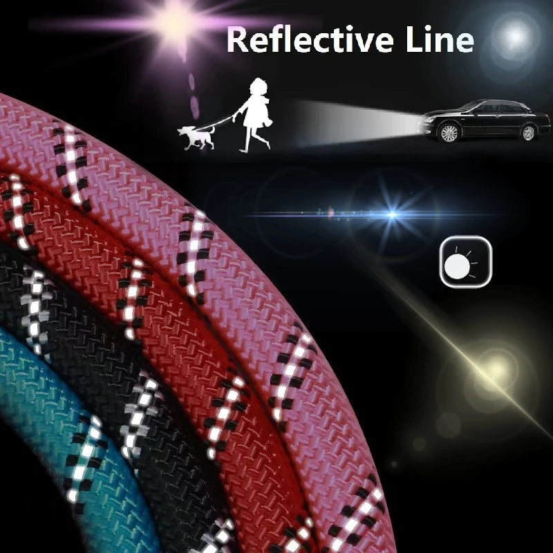 Strong Leash with Soft Handle: Reinforced for Dogs of All Sizes