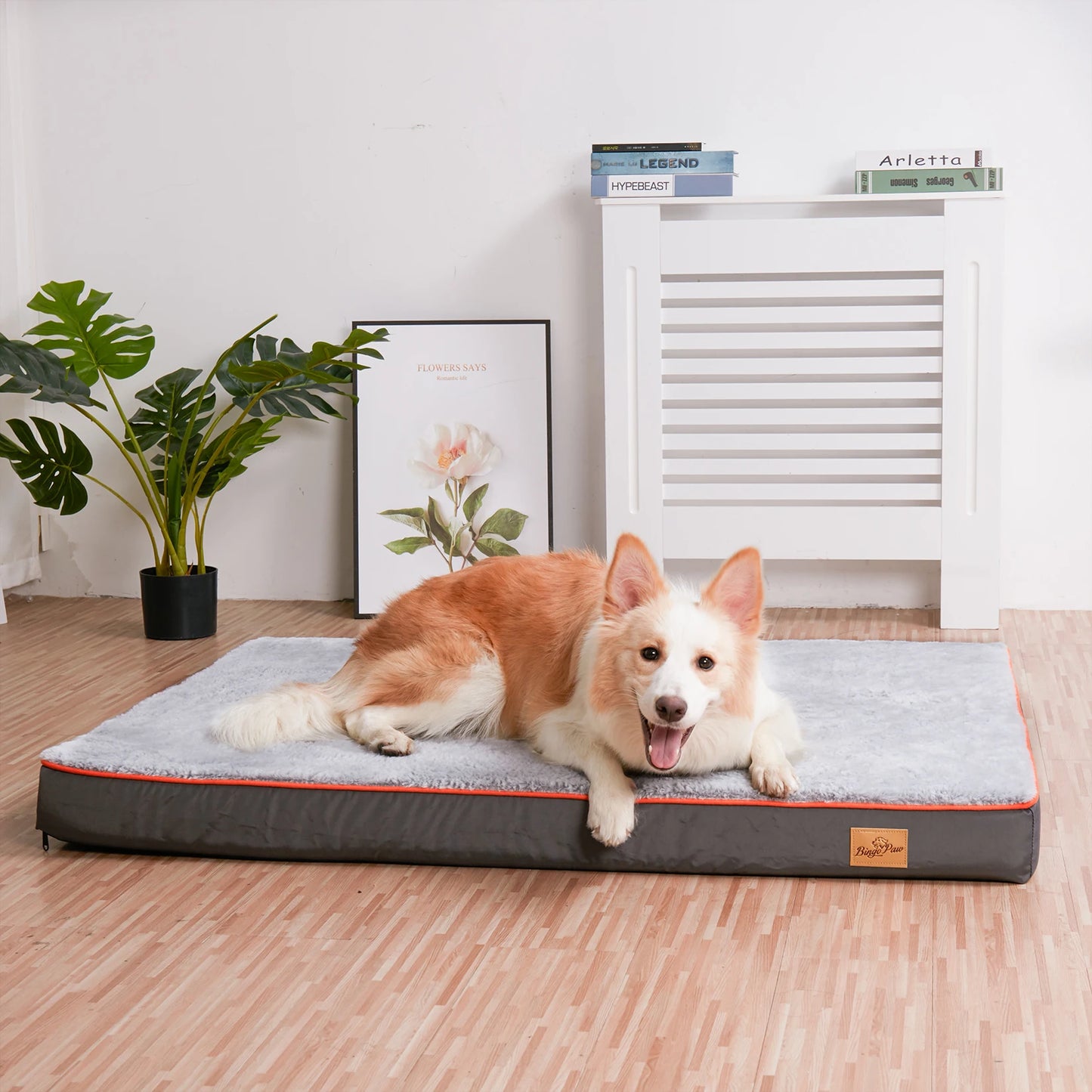 Large Orthopedic Dog Bed