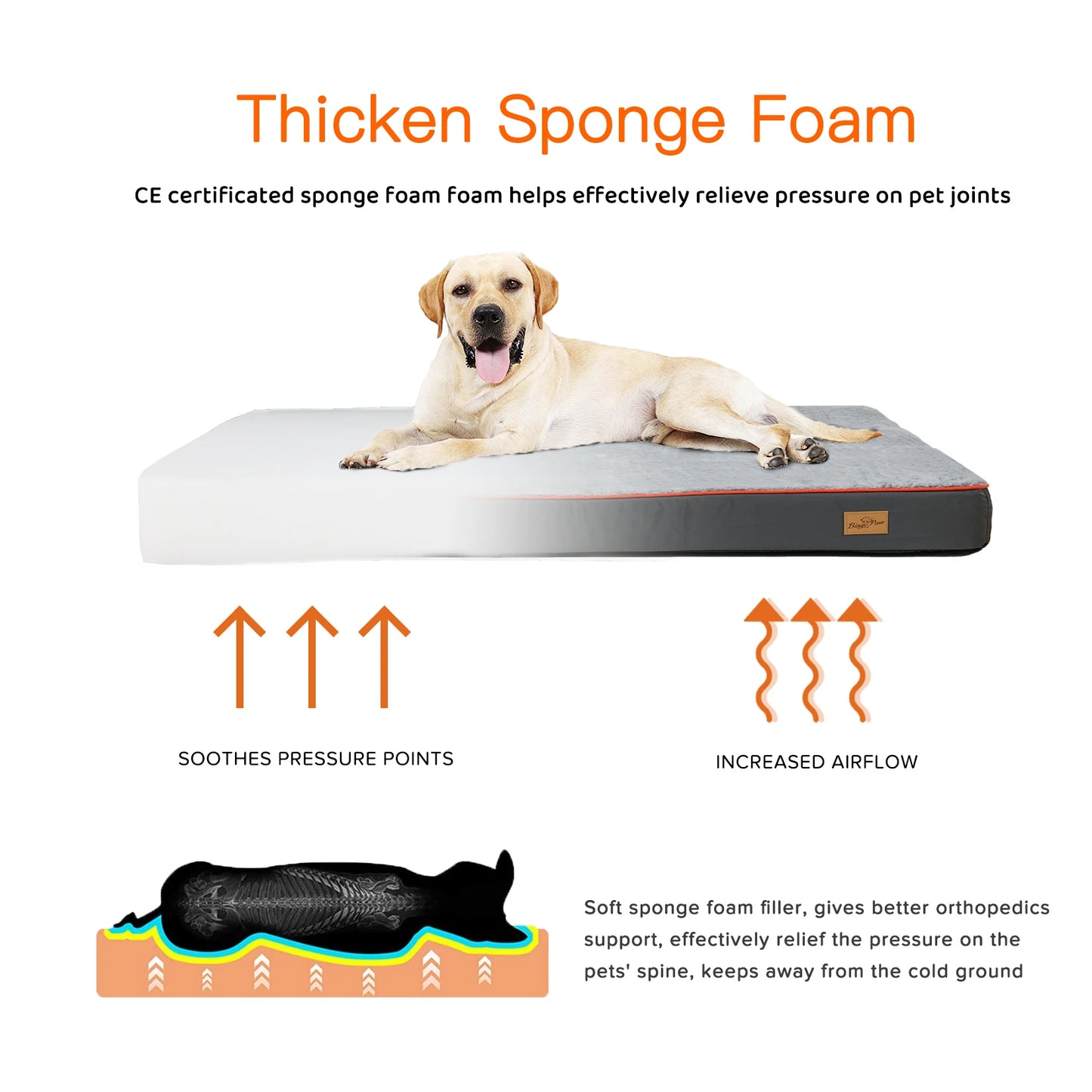 Large Orthopedic Dog Bed