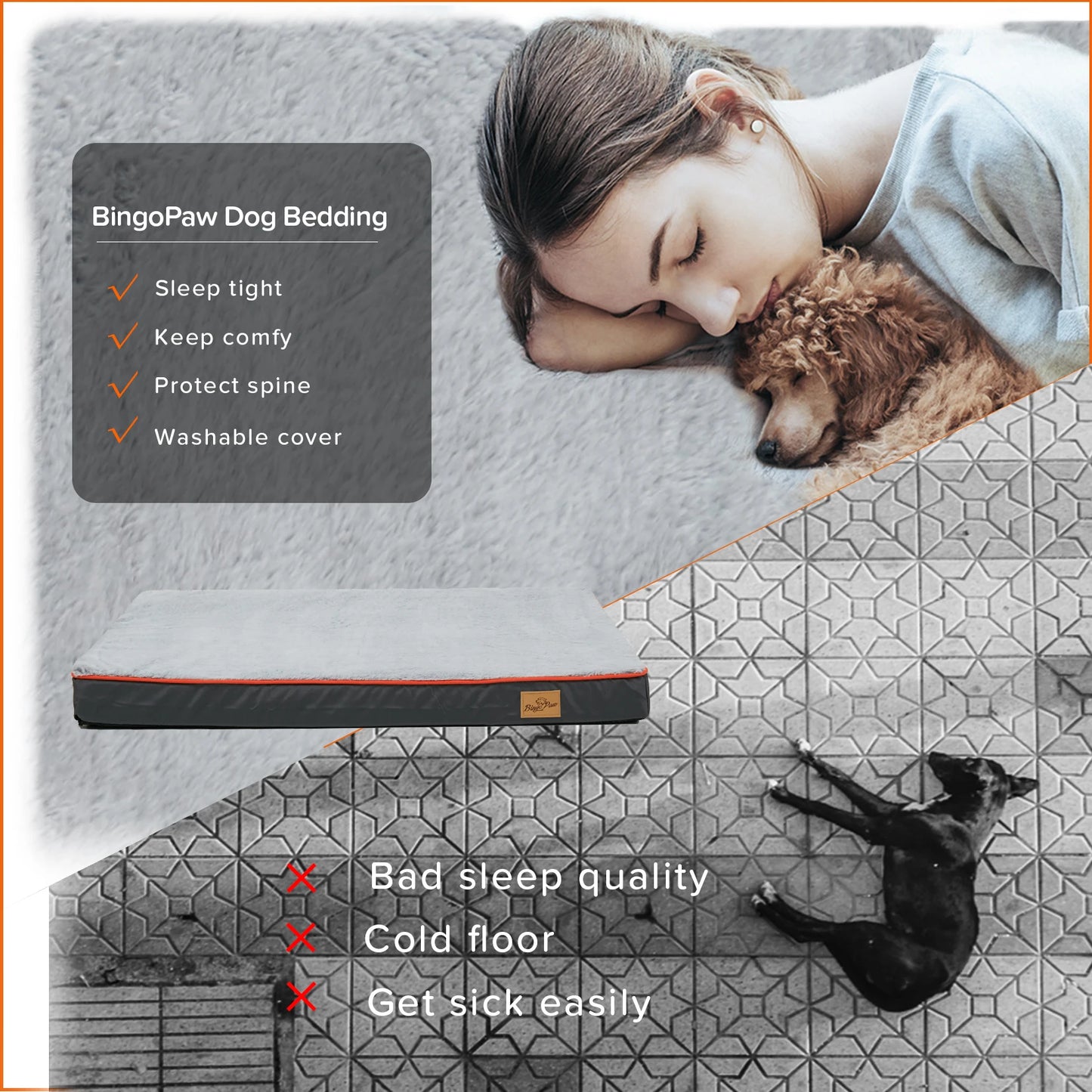 Large Orthopedic Dog Bed