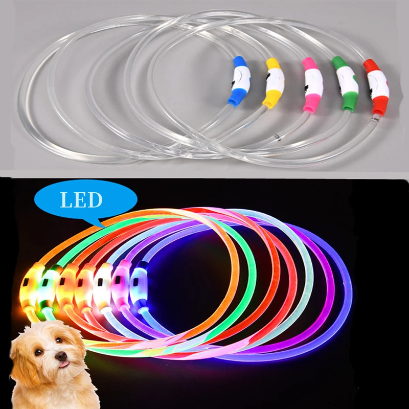 Rechargeable LED Dog Collar: Stay Safe on Night Walks