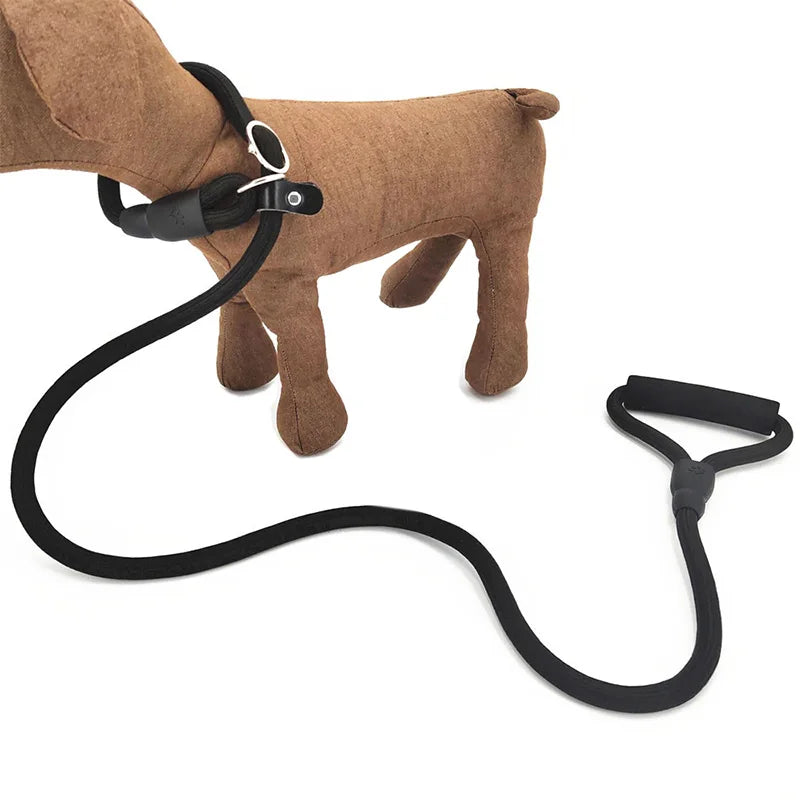 Nylon Slip Lead for Dogs