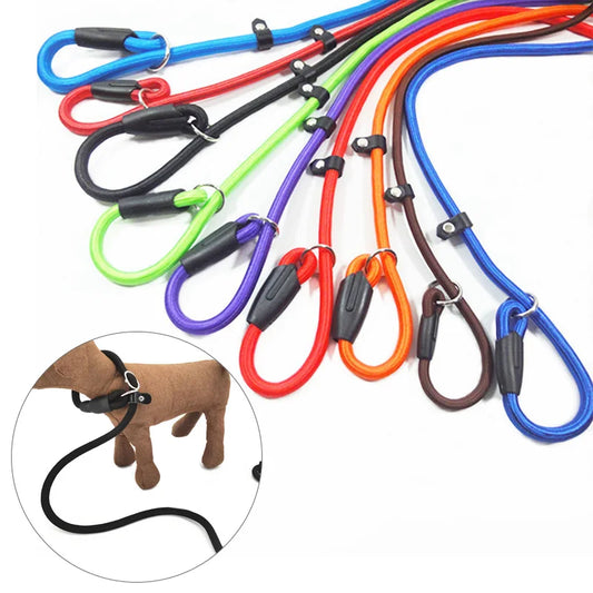 Nylon Slip Lead for Dogs