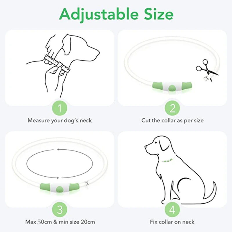 Rechargeable LED Dog Collar: Stay Safe on Night Walks