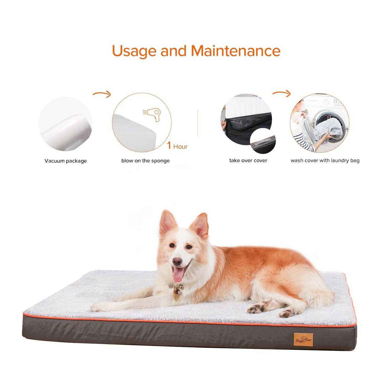 Large Orthopedic Dog Bed