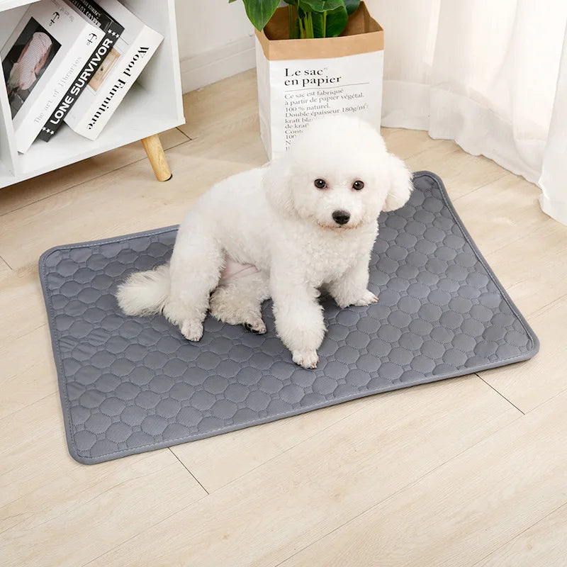 Reusable Absorbent Dog Pee Pad – Washable Training Mat & Pet Bed Protector