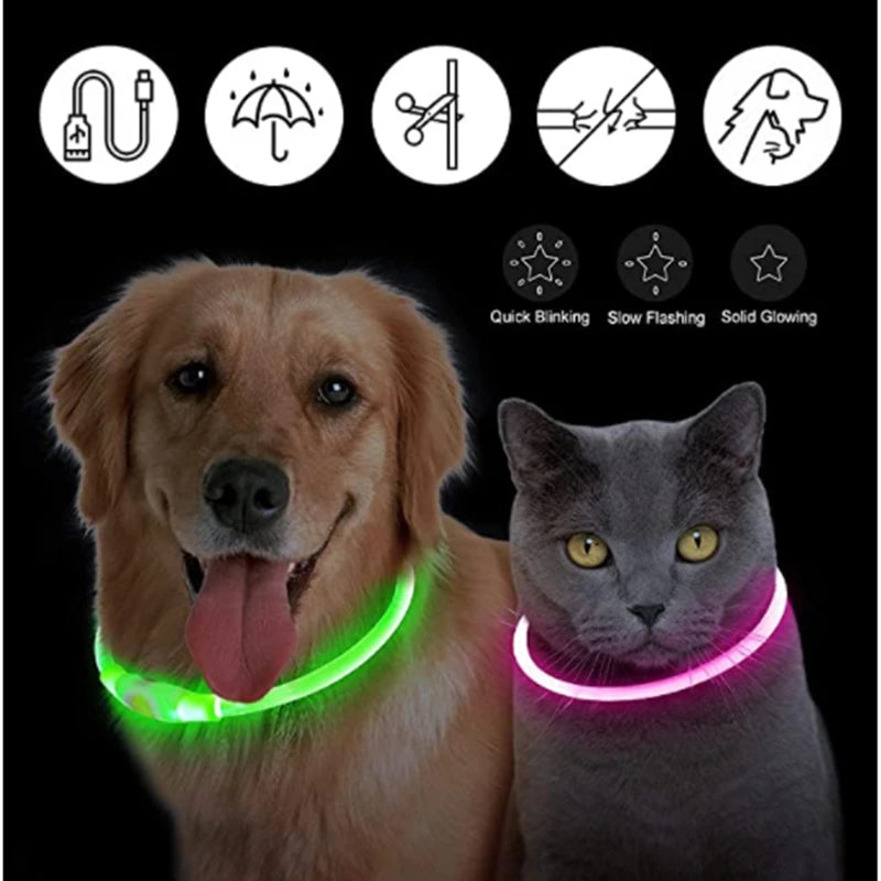 Rechargeable LED Dog Collar: Stay Safe on Night Walks