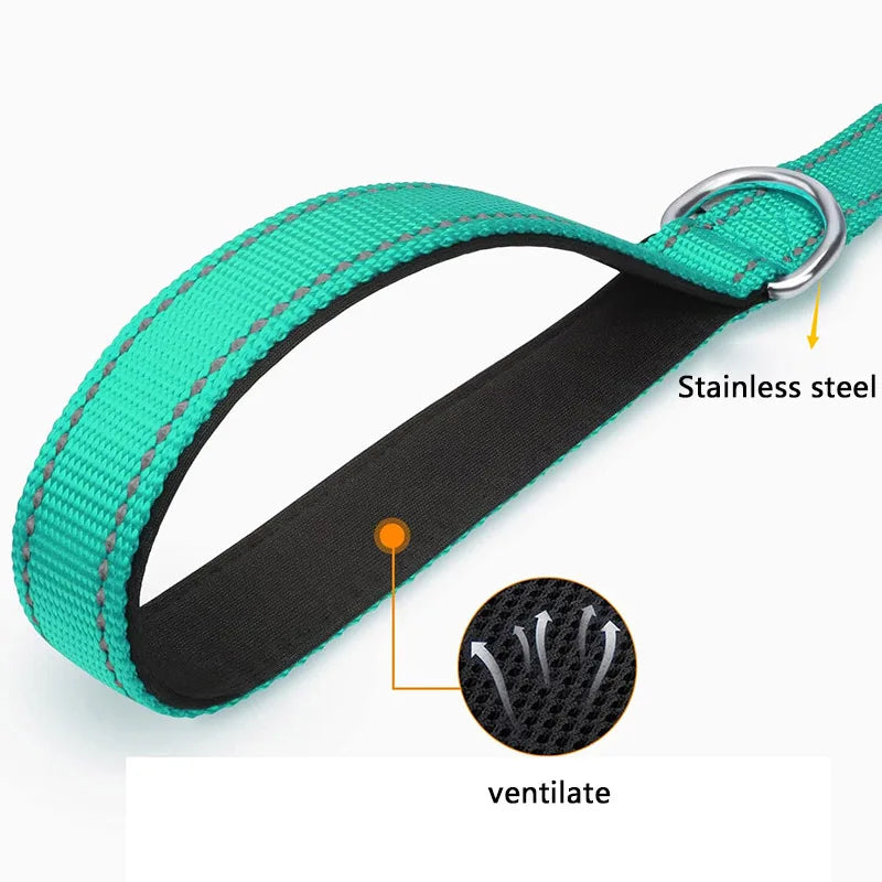 Sturdy Dog Leash: Traditional Style with Easy Collar Hook