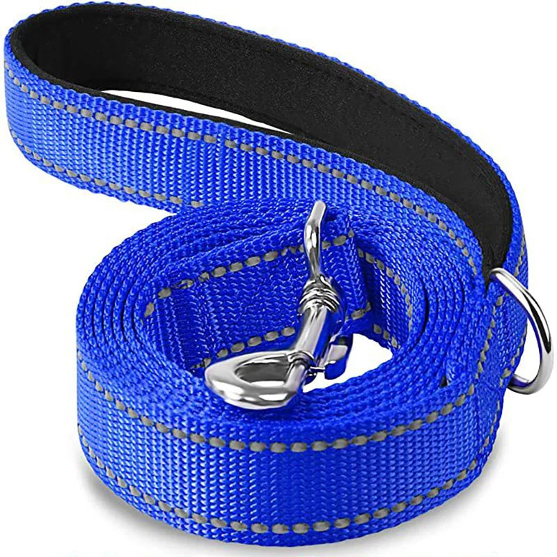 Sturdy Dog Leash: Traditional Style with Easy Collar Hook