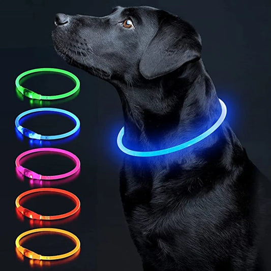 Rechargeable LED Dog Collar: Stay Safe on Night Walks