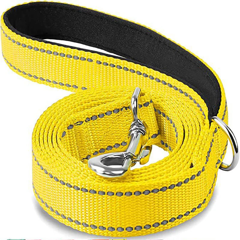 Sturdy Dog Leash: Traditional Style with Easy Collar Hook