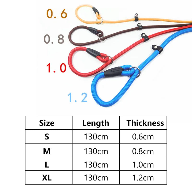 Nylon Slip Lead for Dogs