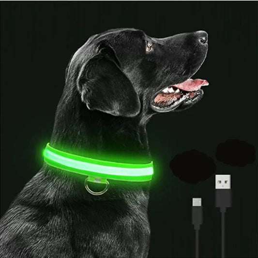 Rechargeable LED Dog Collar: Keep Your Pup Safe & Stylish