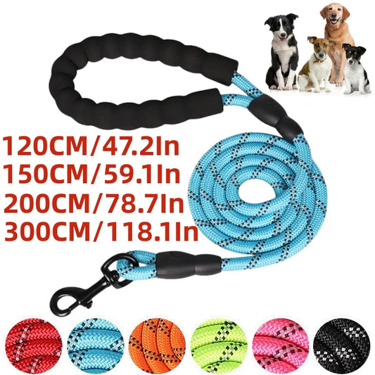 Strong Leash with Soft Handle: Reinforced for Dogs of All Sizes