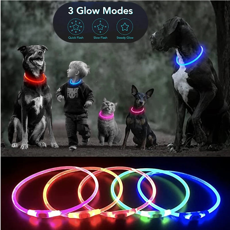 Rechargeable LED Dog Collar: Stay Safe on Night Walks