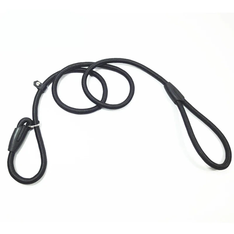 Nylon Slip Lead for Dogs