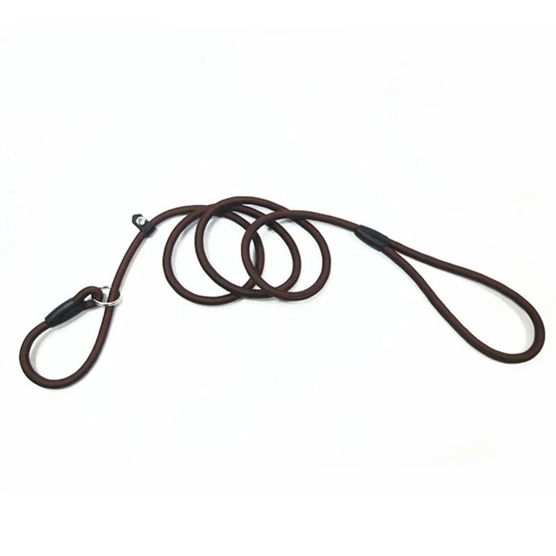 Nylon Slip Lead for Dogs