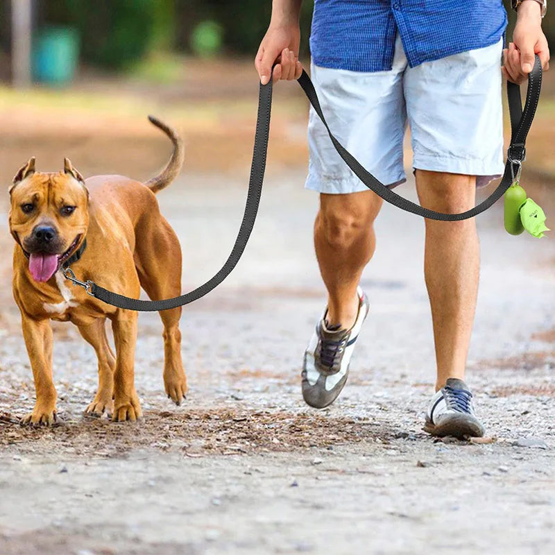 Sturdy Dog Leash: Traditional Style with Easy Collar Hook